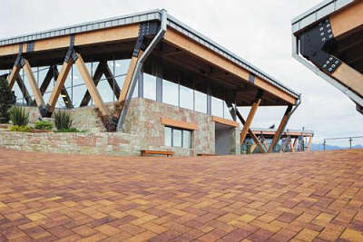 Тротуарная плитка Ла-Линия  Б.5.П.8 "Листопад"