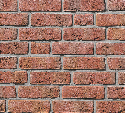 Картинка Кирпич - Импортный кирпич Кирпич облицовочный FORMBACK  : М-200 размером 115x240x71. Цвет красный, производство Roben  