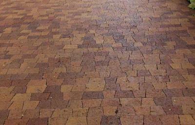 Тротуарная плитка Антик  Б.3.А.6 "Листопад"