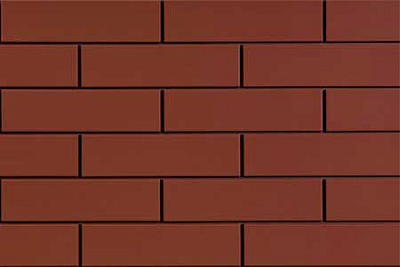 Клинкерная плитка Elewacja Rott