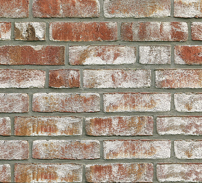 Картинка Кирпич - Импортный кирпич Кирпич облицовочный GEESTBRAND  : М-200 размером 115x240x71. Цвет белый, производство Roben  